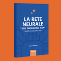 La rete neurale “Self Organizing Map” - Giulia Massini